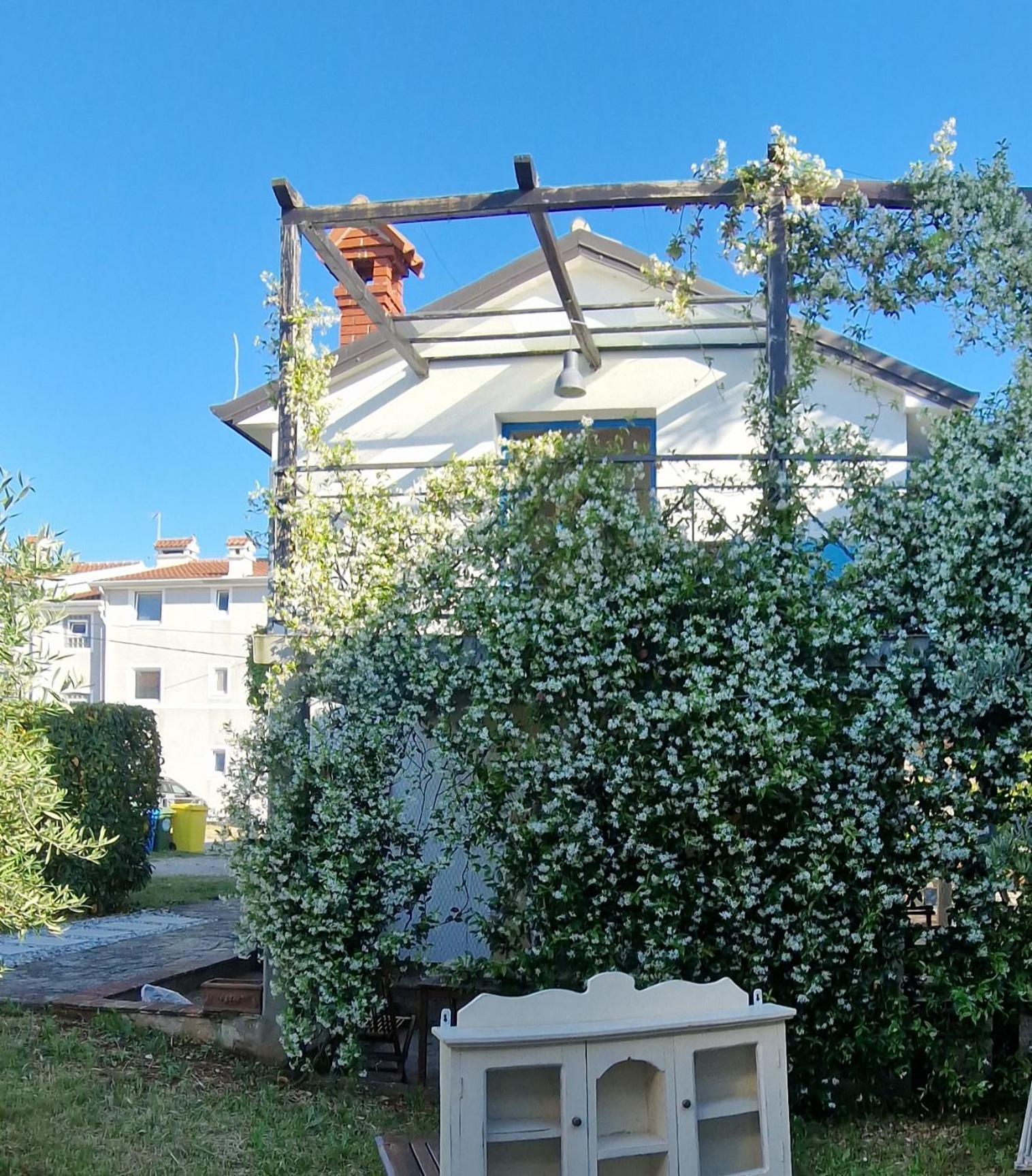 Apartments Ivas Zambratija  Exterior photo
